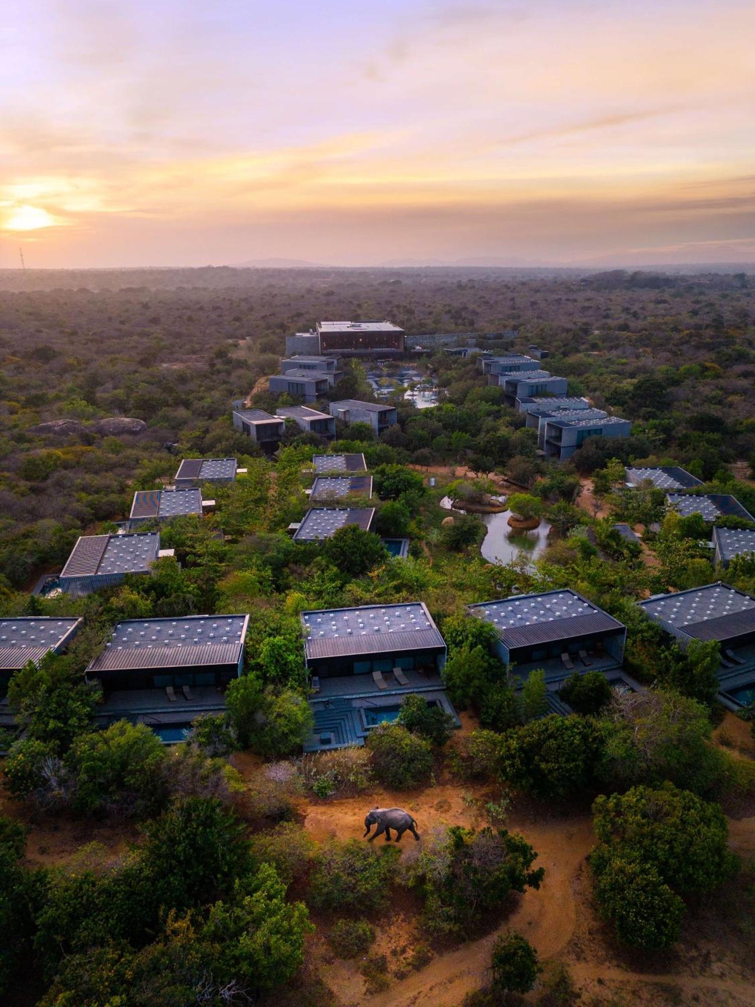 Hilton Yala Resort Bagian luar foto